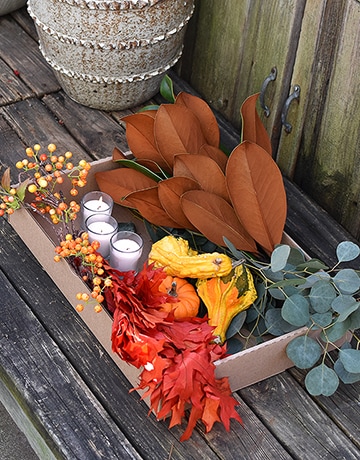 The Fall Elements Box